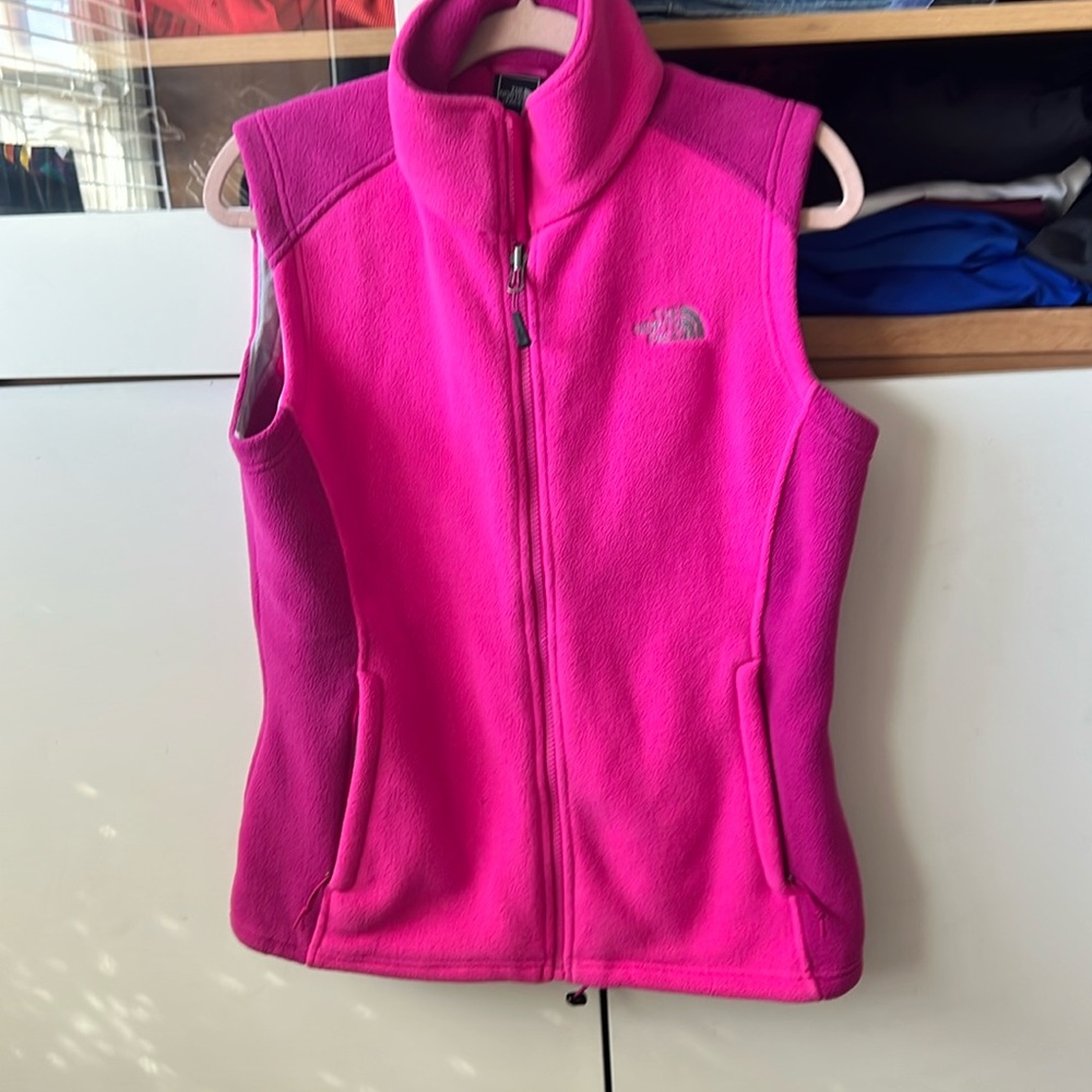 The a north Face vest
